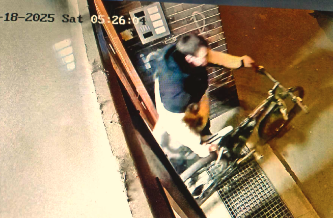 Police looking for break-in suspects