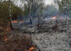 Forest fire broke out in Hostivař Forest Park
