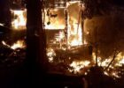 Fire damages garden shed and trees in Prague 8, no injuries reported